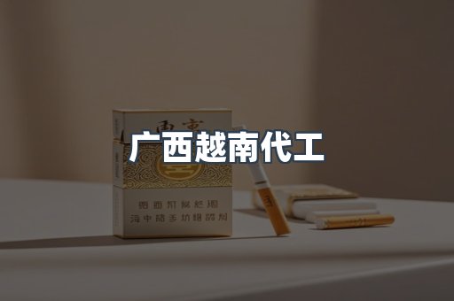 广西越南代工
